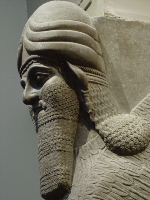 Assyrian Sphnix - Side