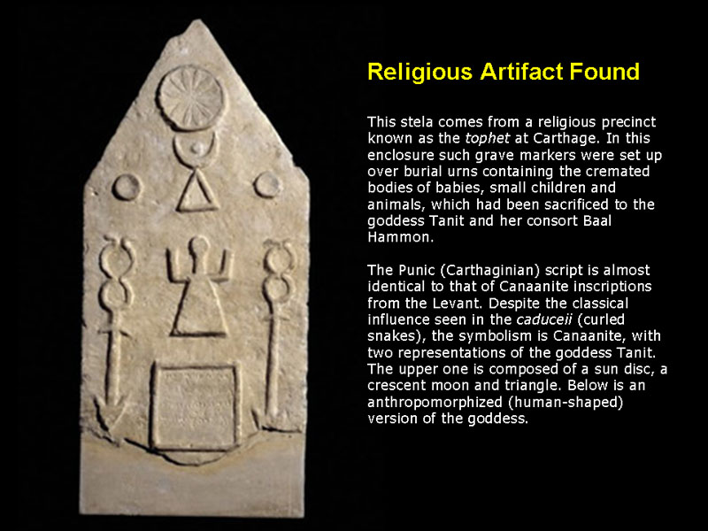 Slide29